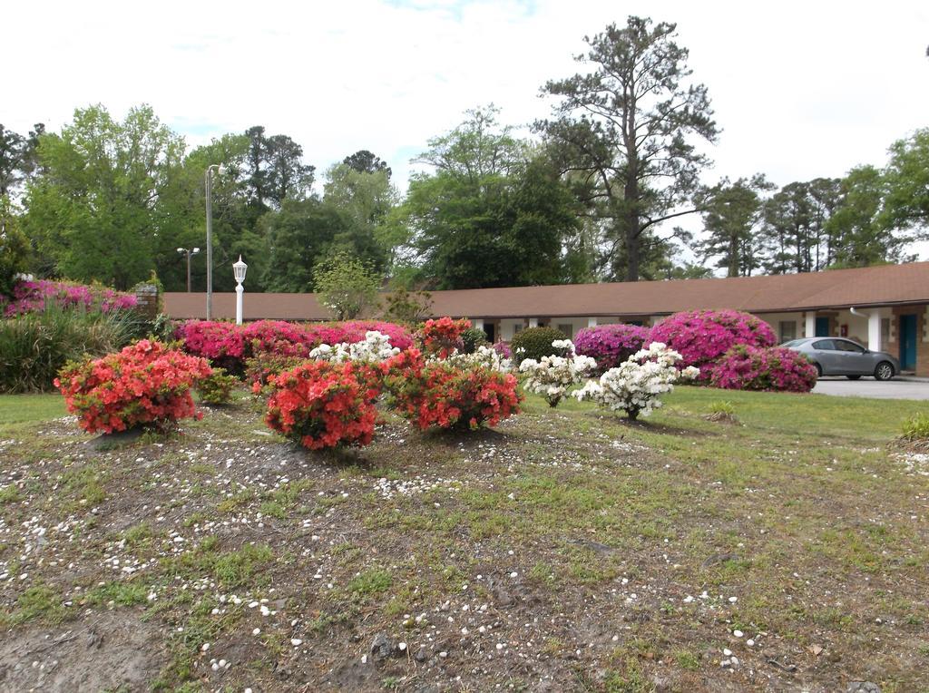 Azalea Inn & Suites Wilmington Exterior photo