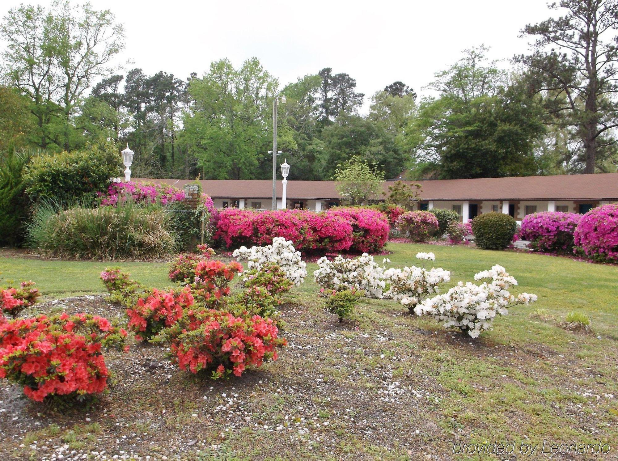 Azalea Inn & Suites Wilmington Exterior photo